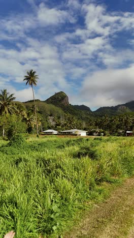 join a young couple as they cycle through the tropical paradise of rarotonga in the cook islands, passing palm trees and mountain backdrops on an unforgettable adventure.