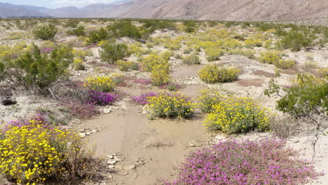 Badlands-Vibrantes,-Vista-De-Flores-Silvestres-Amarillas-Y-Moradas,-Imágenes-De-Drones