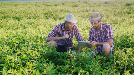 Two-young-farmers-work-in-the-field-and-study-the-shoots-of-plants-1
