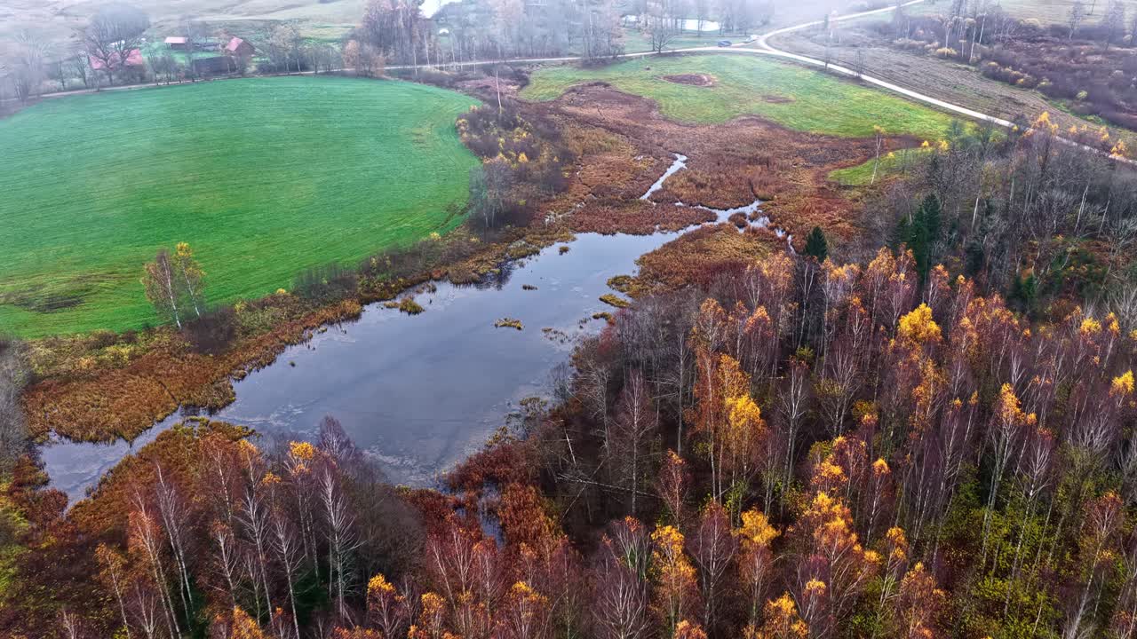 Flygbild över blandskog med spridda kala träd under senhösten i mjukt dagsljus, överflygning mellan dimma och moln