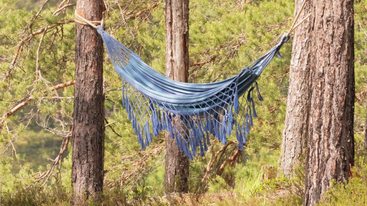 숲에서 해마크 휴가.