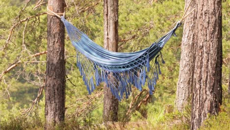 vacaciones en hamaca en un bosque.