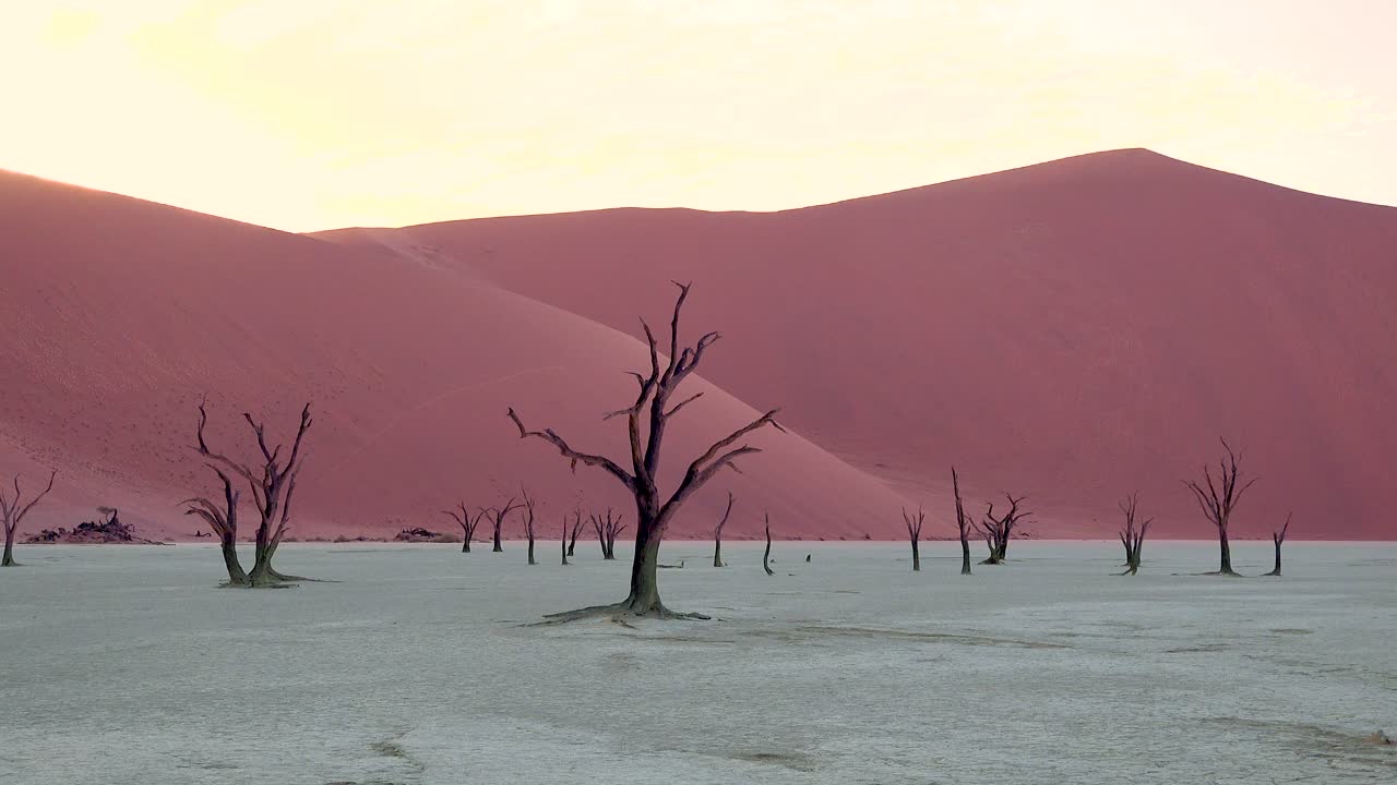 siluetas de árboles muertos al amanecer en deadvlei y sossusvlei en namib parque nacional naukluft desierto de namib namibia 2