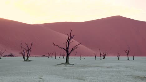 納米布國家公園 (naukluft national park) 納米布沙漠 (namib desert)