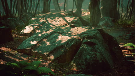 bosque encantado en luz mágica
