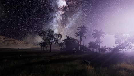 la galaxia de la vía láctea sobre la selva tropical.