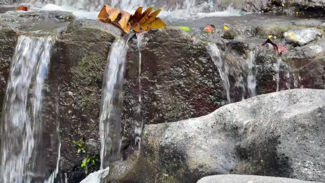 Piccola cascata che scorre sulle rocce con foglie cadute