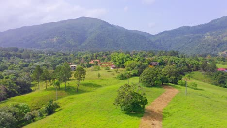 perfect scenery of nature with evergreen landscape and forest hills at jarabacoa in la vega province, dominican republic