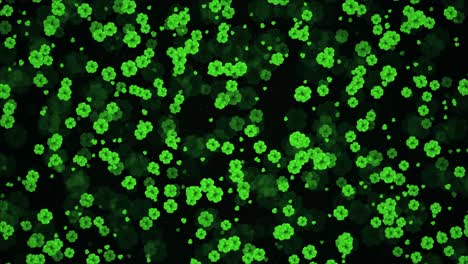 green shamrock pattern on black background