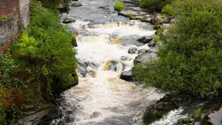 Fiume che scorre attraverso vegetazione e rocce