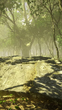 serene forest landscape bathed in soft morning light and lush greenery