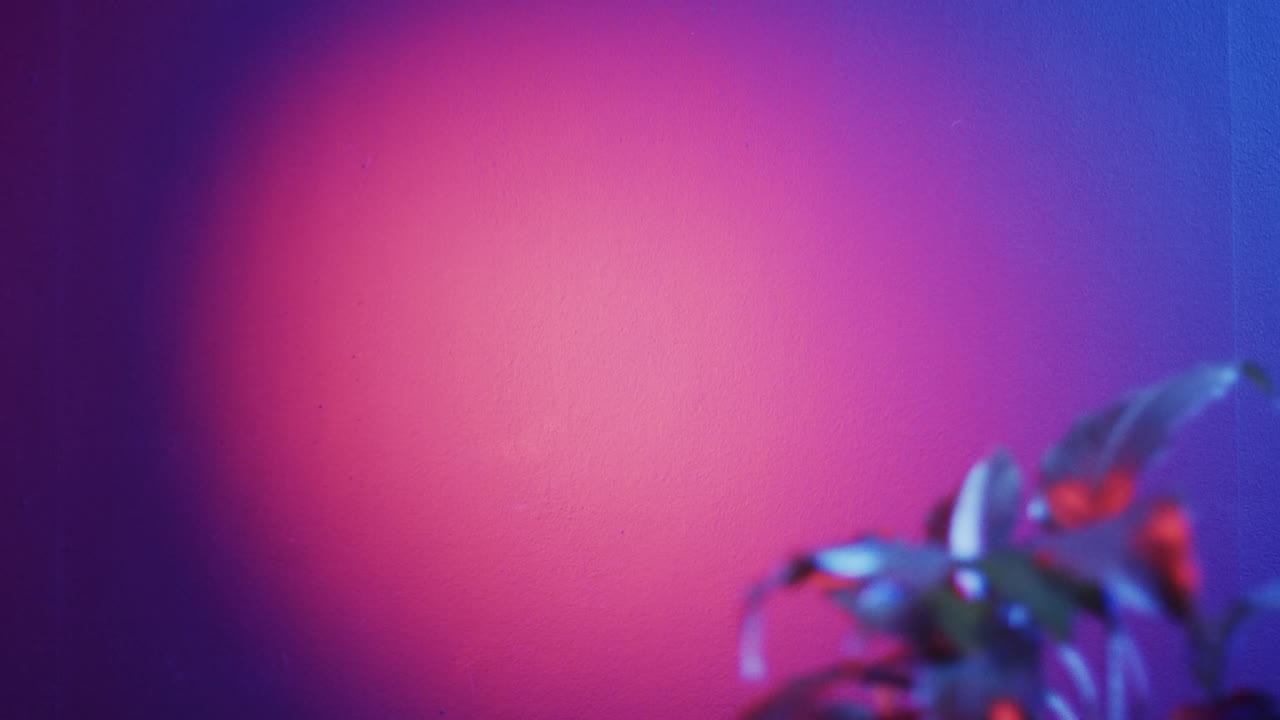 video de hojas de plantas desenfocadas, copia del espacio en el fondo de neón