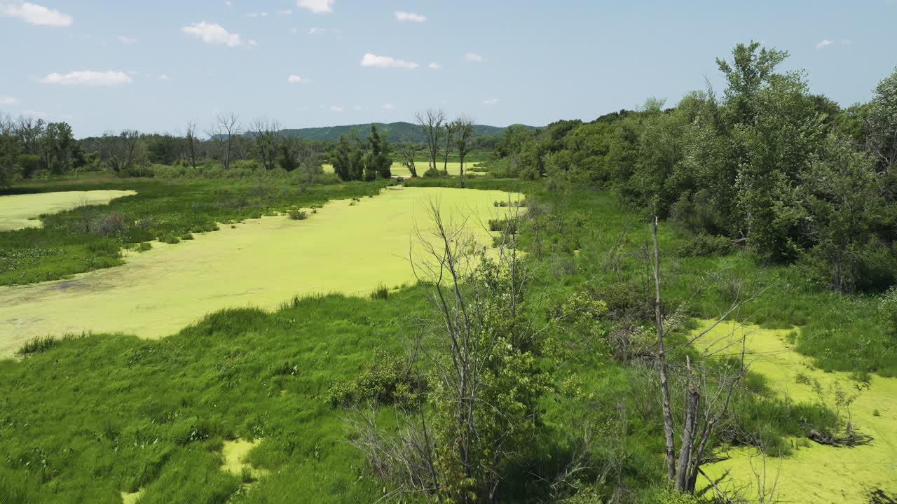 trempealeau 국립 야생동물 보호구역에서 녹색 조류로  ⁇ 인 습지