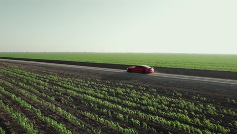 Cinematic-aerial-following-red-colored-sporting-racing-car-moving-along-the-road-through-vast-agricultural-fields,-leaving-dusty-trail-behind,-daytime-capture