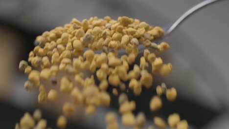 cucharada de polen de abeja granular vertiendo en cámara lenta