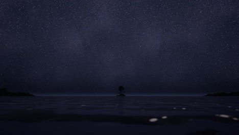 starry night over the sea