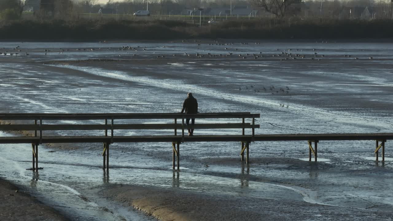 sophiapolder netherlands, 배경에 교통, 건물 및 주택이 있는 일부 갯벌 위의 산책로에 서있는 사람의 낮은 느린 궤도