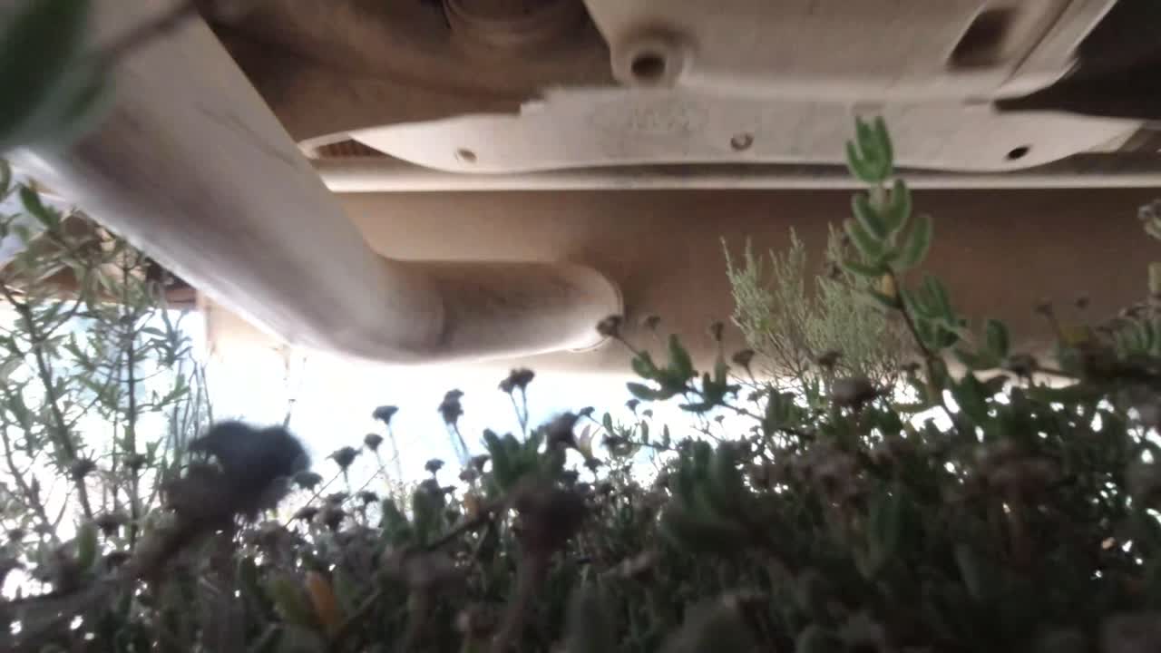 자동차가 지상의 카메라 위로 운전합니다.