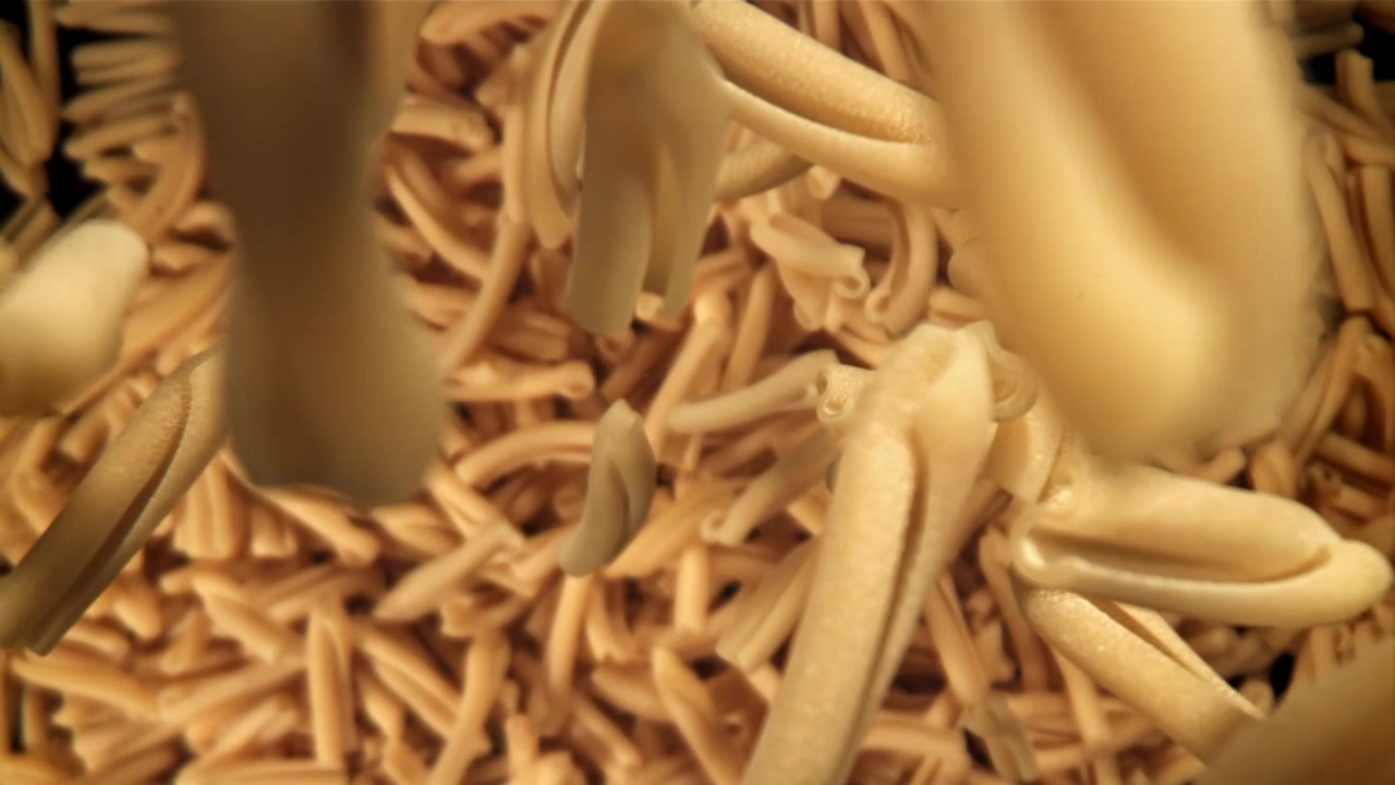 スローモーションで落下する未調理のイタリアンパスタ