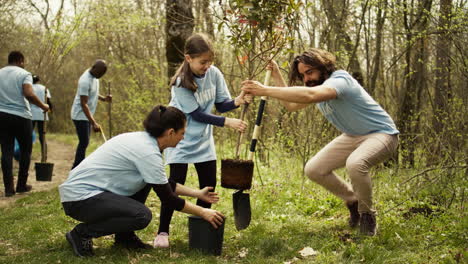 team of volunteers planting trees around forest area for nature preservation