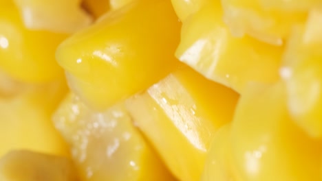 corn seeds rotate in a circle macro video corn seeds rotate in a circle macro video