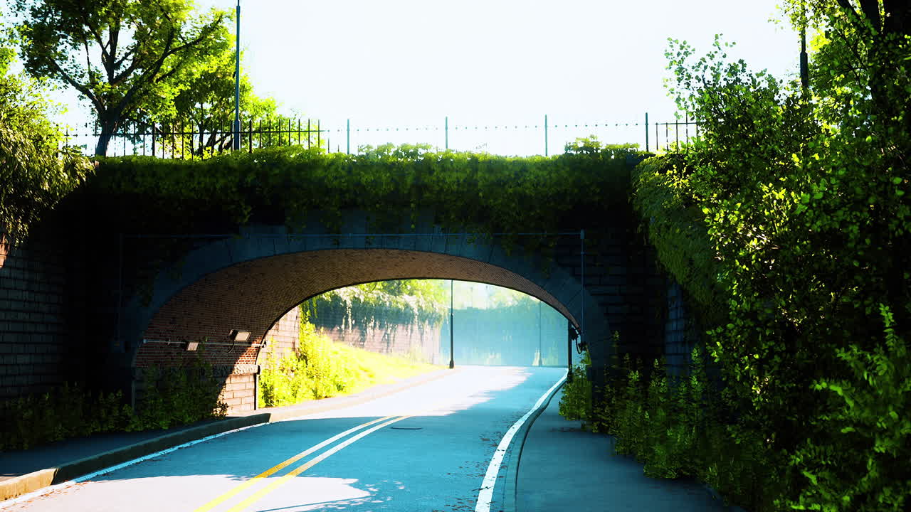 공원 에 있는 살아 있는 덤불 가지 들 이 있는 아치 다리