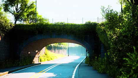 arch bridge with living bush branches in park