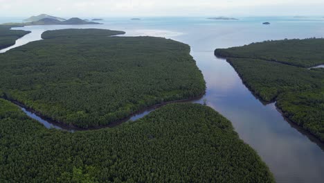 aerial rotates over vast mangrove river delta in thailand, lone boat