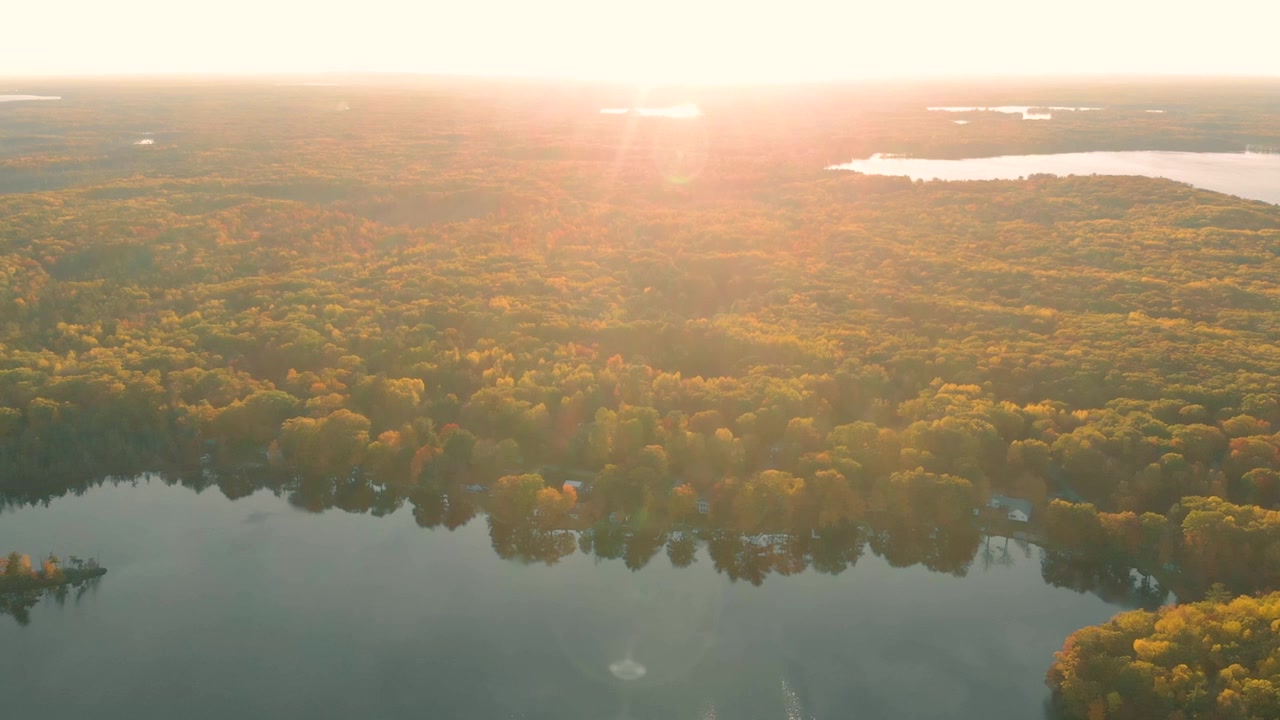 Aerial View of Autumn Forest and Lake at Golden Hour