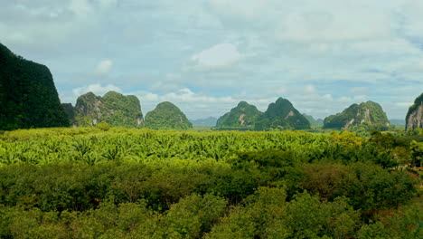 scenic landscape of mountains and palm oil plantation