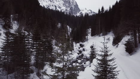 Toma-Aérea-De-Un-Pequeño-Valle-Con-Un-Sendero-Y-Un-Arroyo-En-Los-Alpes,-Kleinwalsertal,-Austria,-Nieve-Invernal,-Mal-Tiempo,-Místico-Y-Sombrío