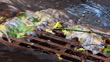 storm drain partially blocked by leaves, branches, and a plastic bag