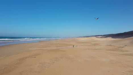 Volando-Junto-A-Un-Pájaro-Sobre-Dunas-De-Arena-En-La-Costa-De-Sudáfrica