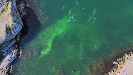 Top-View-Of-Divers-In-Green-Lagoon-In-Lysekil,-Bohuslan,-Sweden