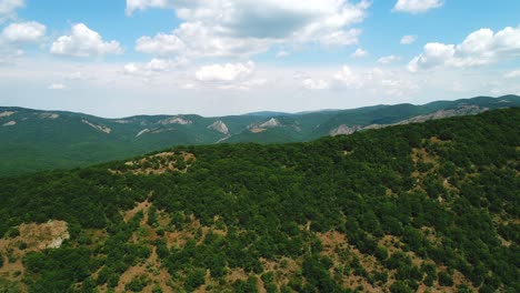 mountainous forest landscape