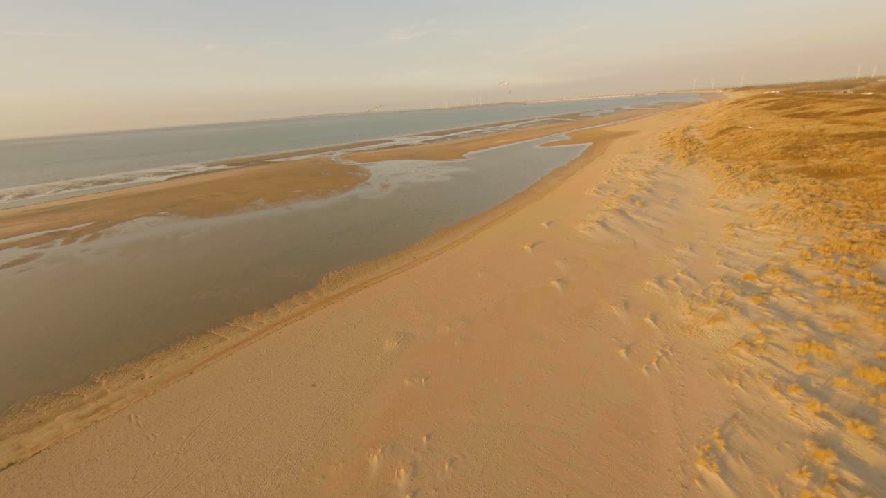 Aerial drone flight after seagull flock on Vrouwenpolder beach in golden sunset