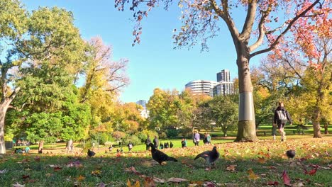 people walking and relaxing in a park