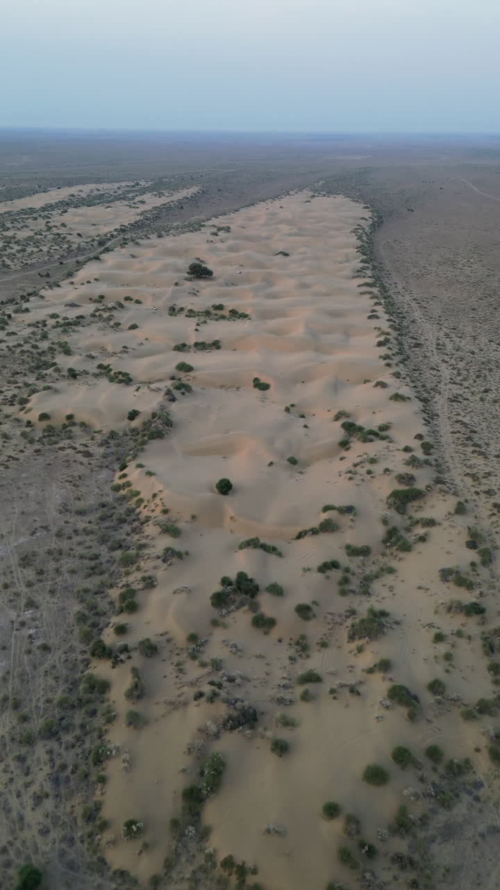 una vista aérea de las interminables dunas de arena dorada en jaisalmer, salpicadas de vegetación verde bajo un cielo azul claro rajasthan india 4k