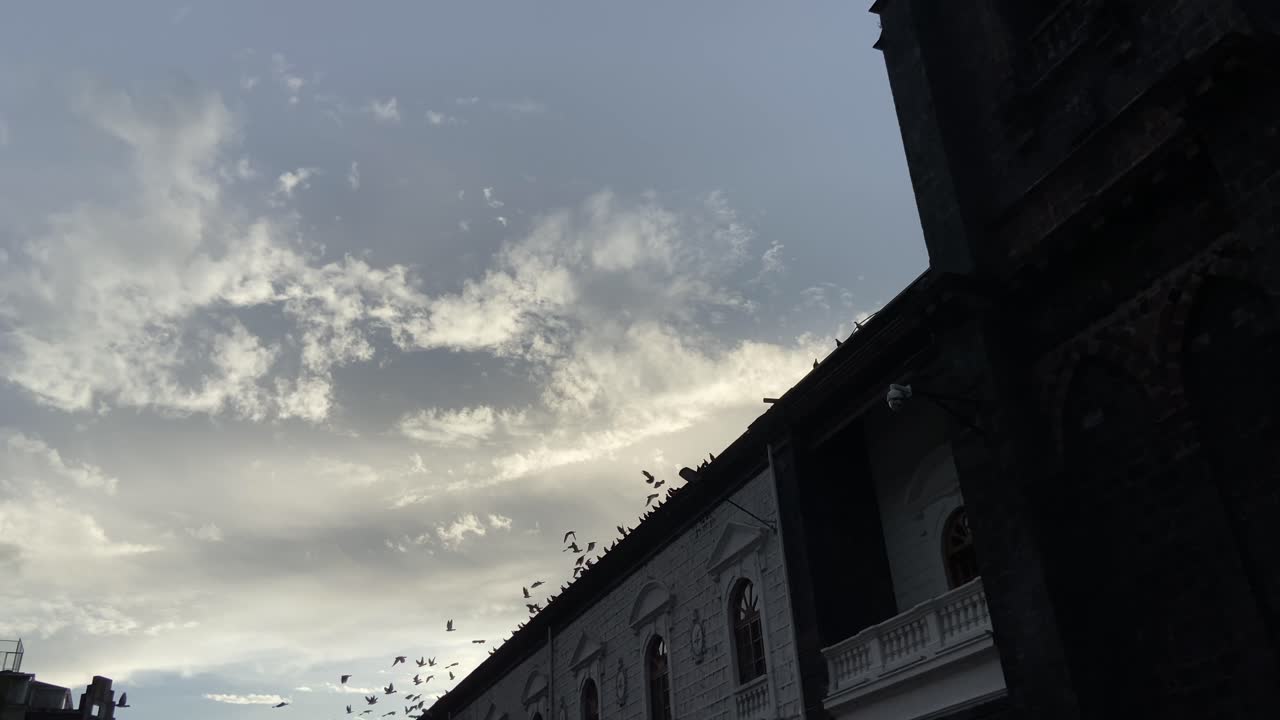 Golden hour sky with bird flying over building roof interior courtyard before sunset