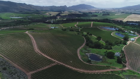 Flight-over-fertile-Hemel-en-Aarde-wine-valley,-with-tractor-spraying-vineyards