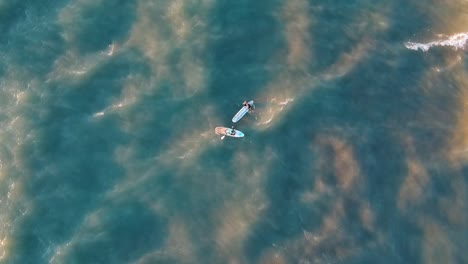 two surfers hitting their morning run