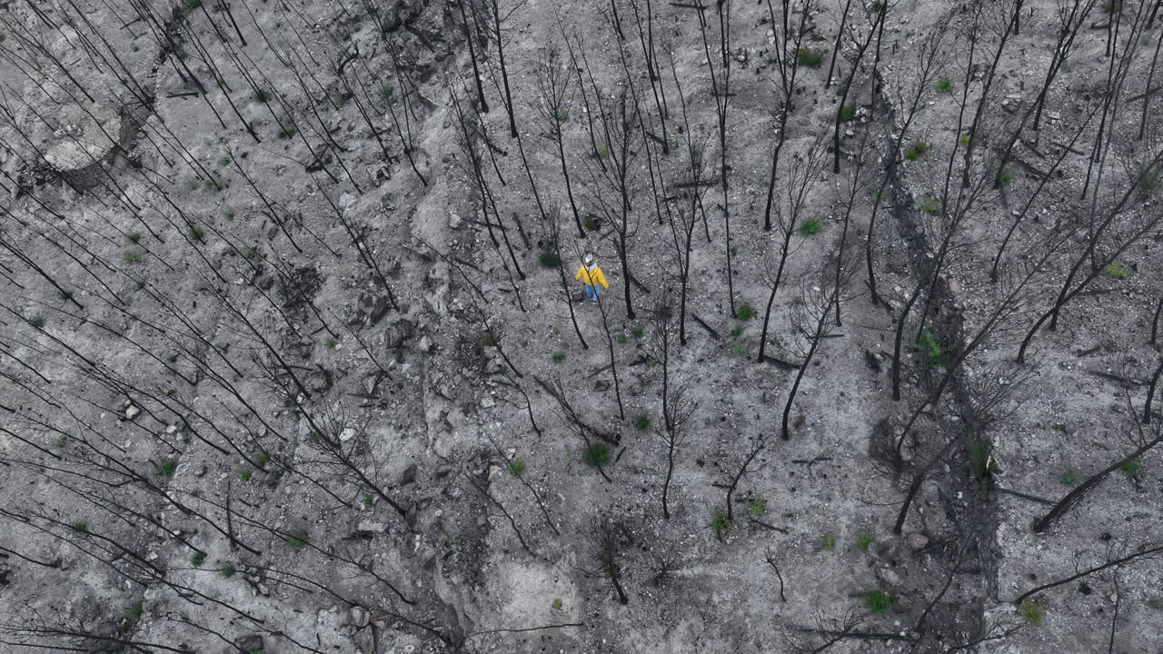 불탄 산불 숲 유적을 헤매는 혼란스러운 남자 위의 공중 조감도