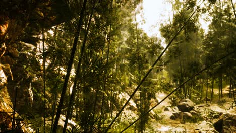 bosque de bambú verde con la luz del sol de la mañana