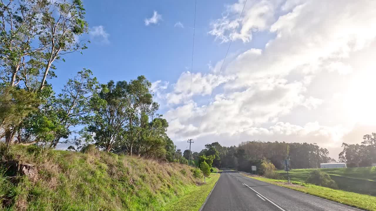 울창 한 초록색 을 가로질러 평화 로운 운전