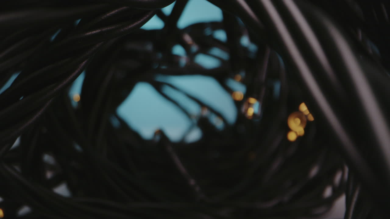 Close-up of a Bundle of Black Christmas Lights