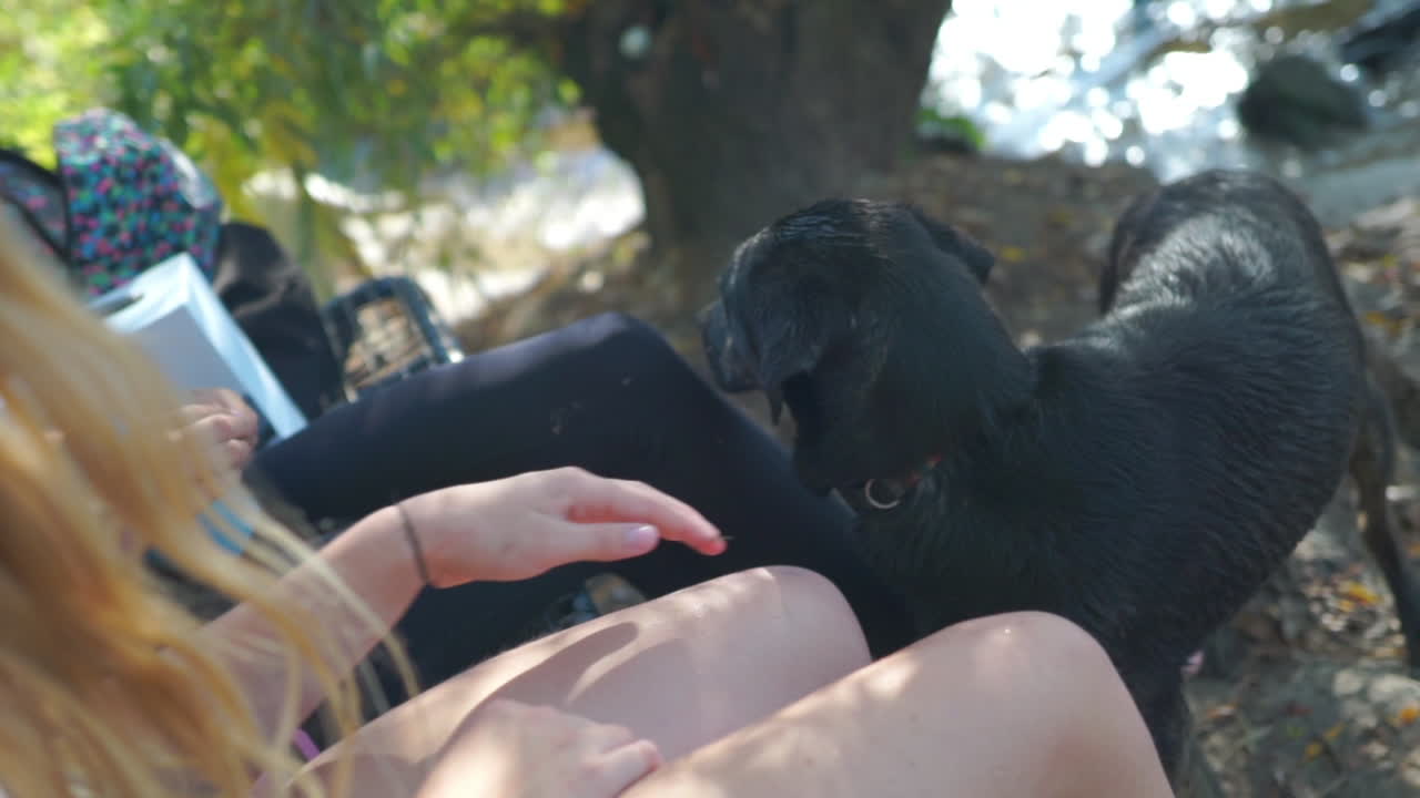 관심을 받고 있는 개