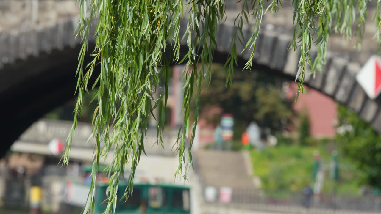 Willow tree branches move gently above Spree River, boat passes under urban bridge, daylight