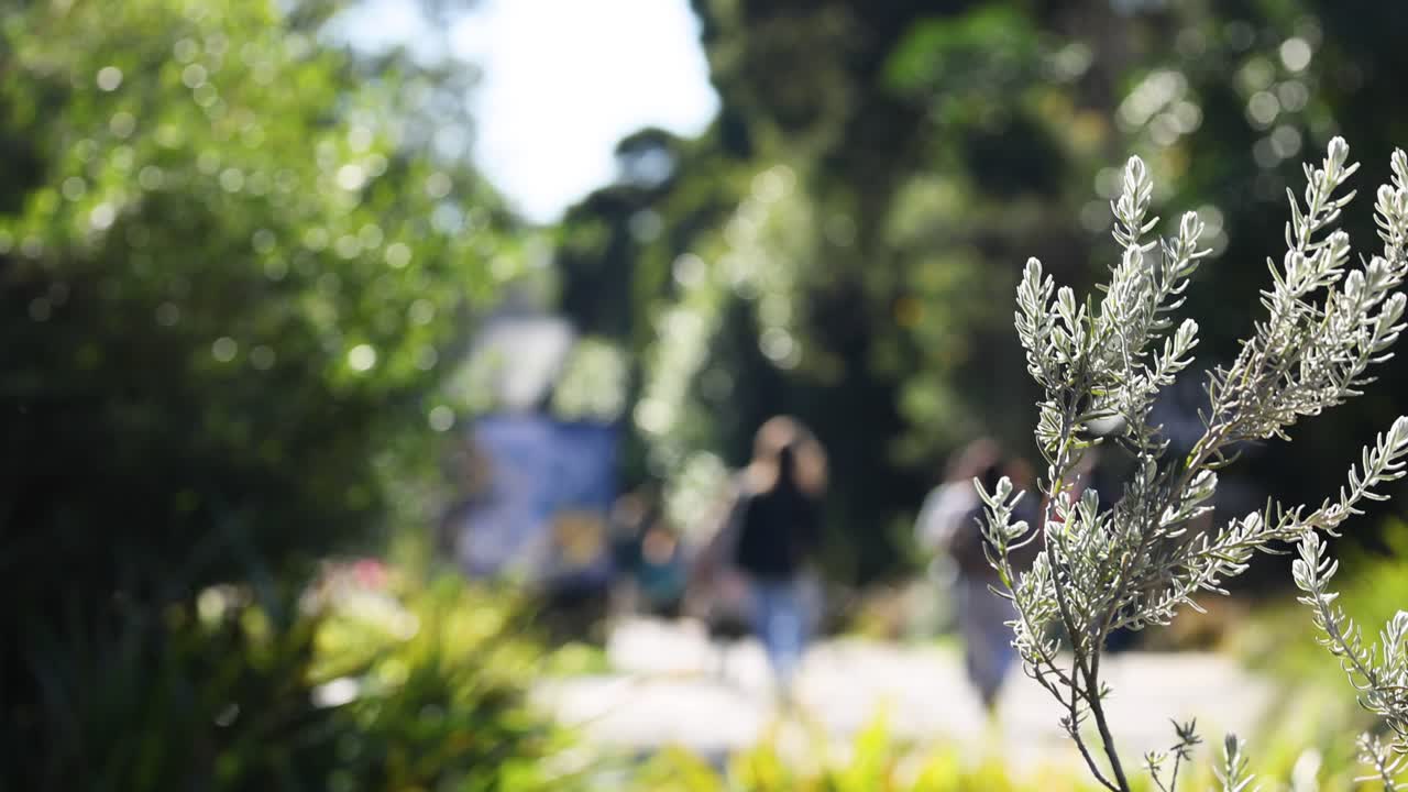 한 배경 으로 가지 에 앉아 있는 새