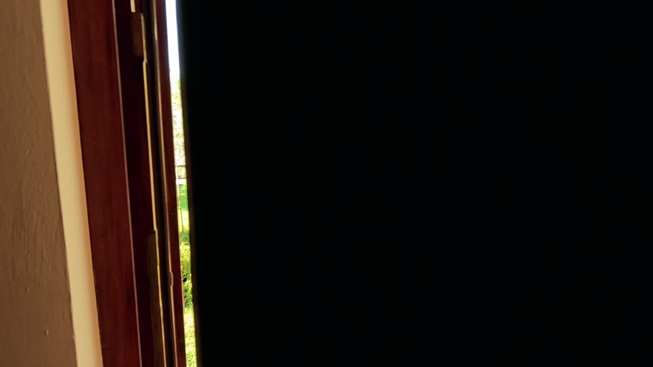 paisaje exuberante de viñedos con una vegetación vibrante