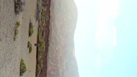 Man-hiking-in-desert-landscape-of-Teide-National-park,-vertical-view